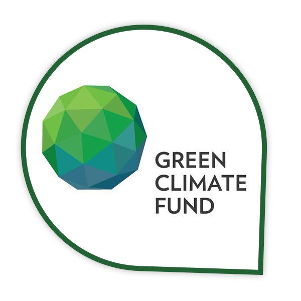 UNDP logo